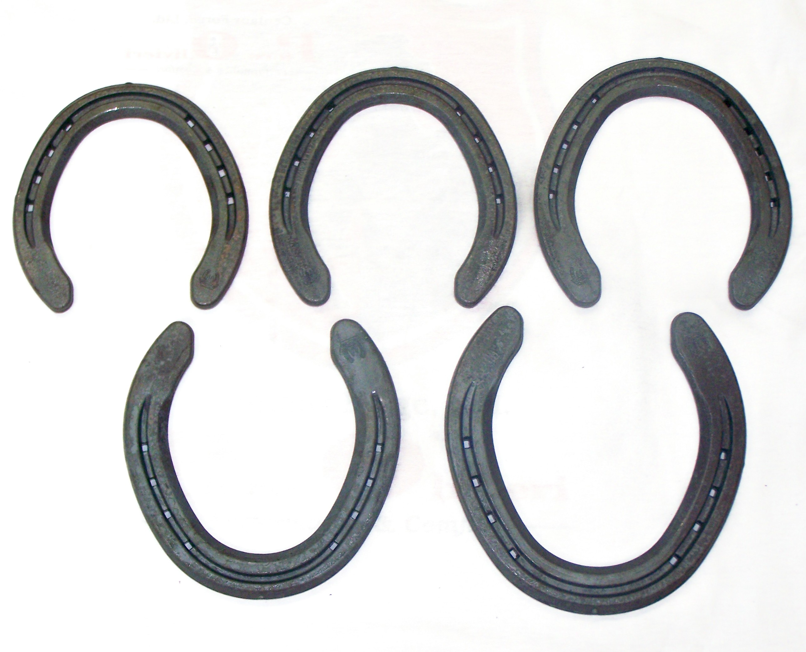 St. Croix Eventer Plus Hinds Unclipped Size 0